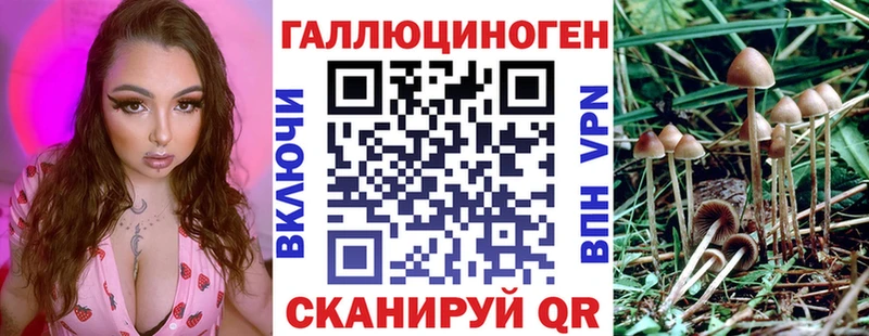 Галлюциногенные грибы прущие грибы Дмитровск