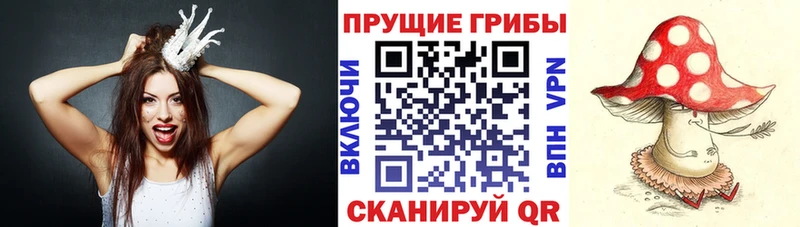 Галлюциногенные грибы MAGIC MUSHROOMS  Дмитровск 