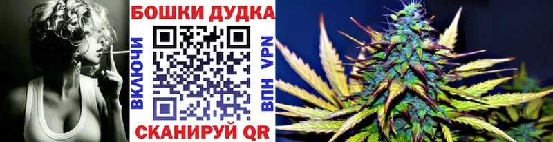где можно купить   Дмитровск  МАРИХУАНА сатива 